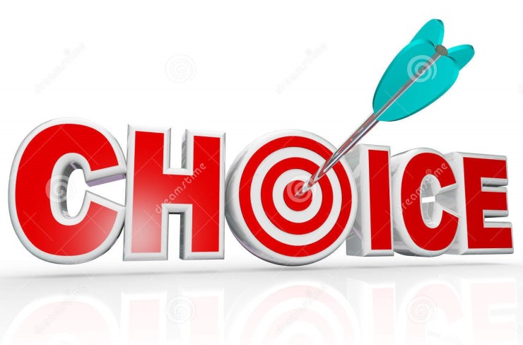 choice-arrow-target-bulls-eye-word-best-option-24936555