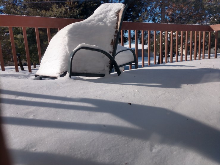 IMG_20190130_133821599_HDR