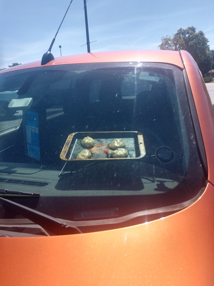 IMG_20190712_105851033_HDR