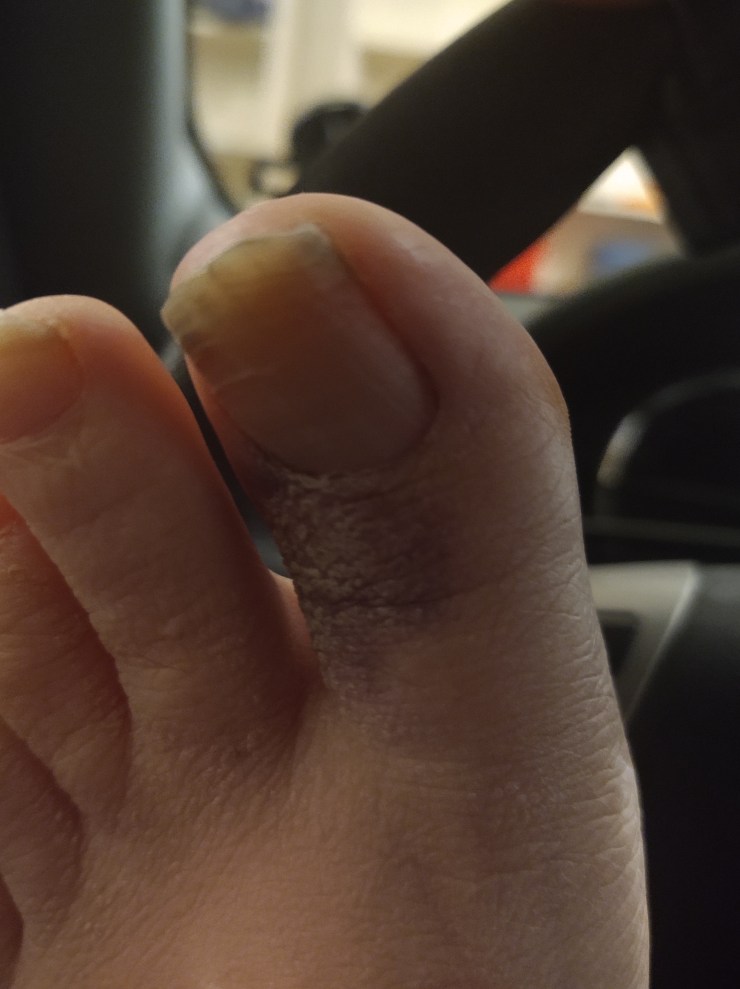 IMG_20191108_184302219